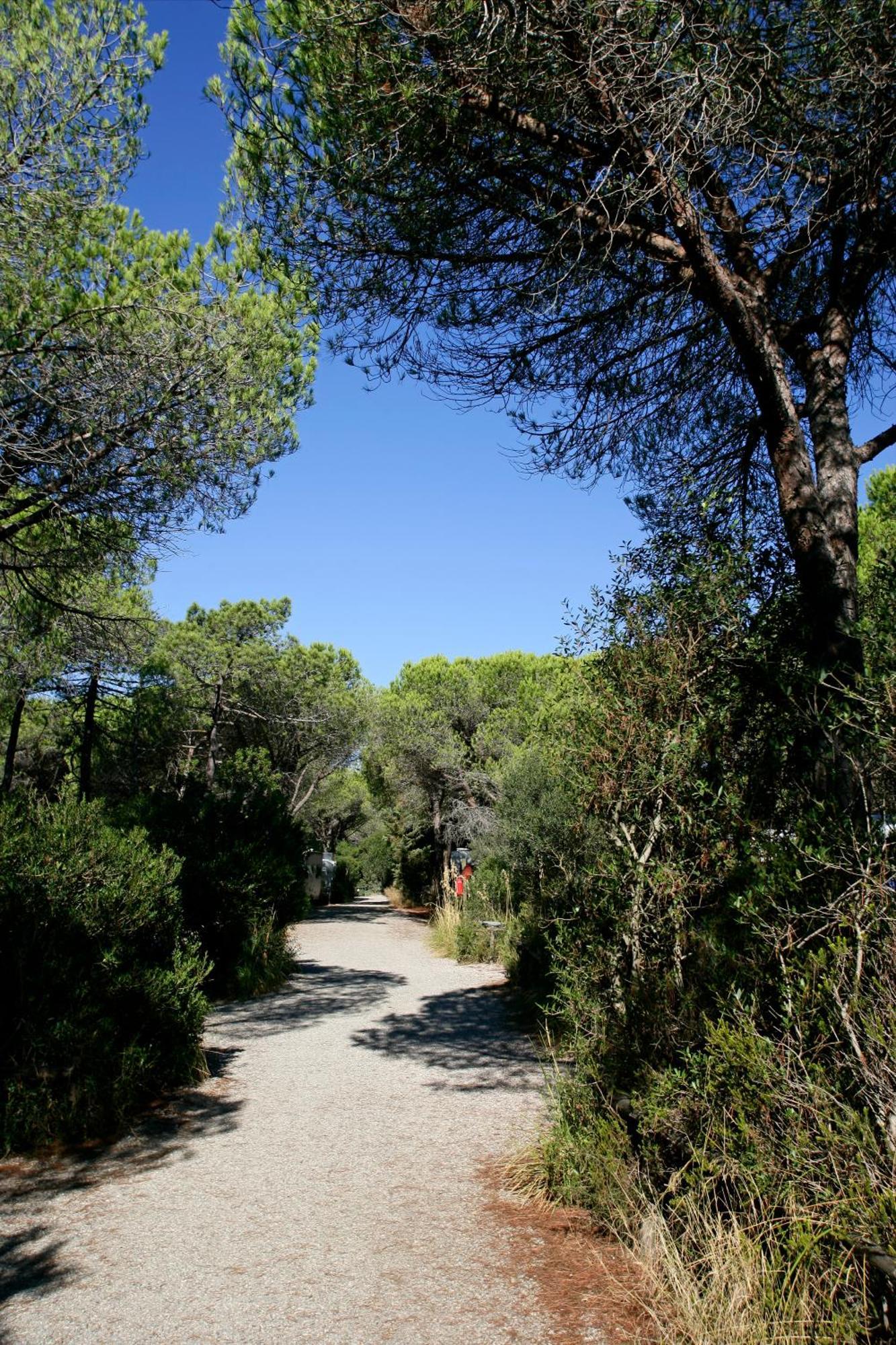 Camping Maremma Sans Souci กาส์ตีจลิโอเน เดลลา เปสกายา ภายนอก รูปภาพ